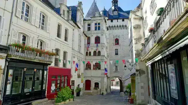 Camping proche de Loches en Indre-et-Loire.