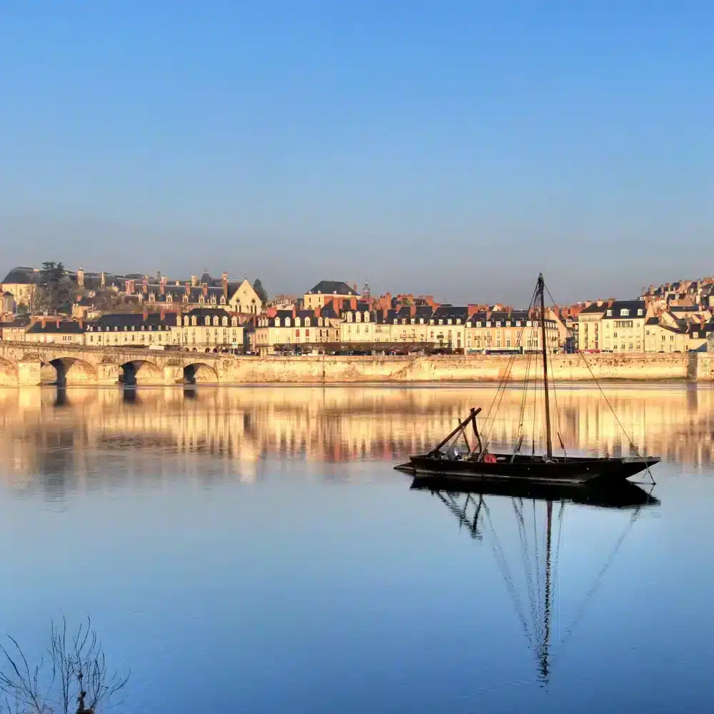blois (8)