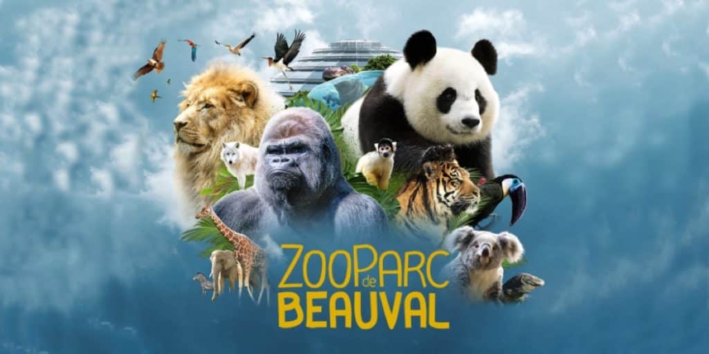 zoo de beauval2