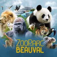 zoo de beauval2
